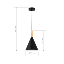 Купить Подвесной светильник Evoluce SLE1255-403-01