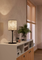 Купить с доставкой по Москве и России Настольная лампа EGLO 43938