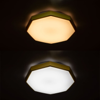Купить Накладной светильник ARTE Lamp A2659PL-1YL