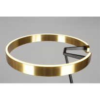 Купить с доставкой по Москве и России Торшер APLOYT APL.653.05.30