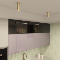 Купить с доставкой по Москве и России Накладной светильник Denkirs DK2051-SG