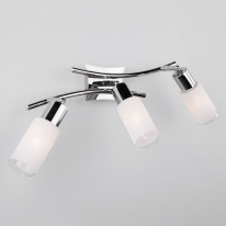 Фото Спот Eurosvet 20030/3 хром