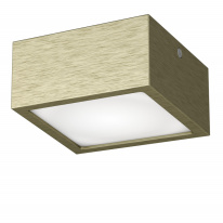 Фото Влагозащищенный светильник Lightstar 213921