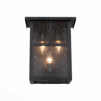 Фото Светильник настенный ST-Luce SL079.401.03