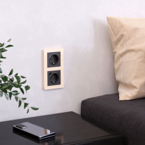 Купить Рамка Werkel W0022743