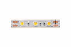 Цена на Лента DesignLed DSG560-12-NW-65