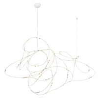 Фото Подвесной светильник LOFT IT 10309/21