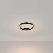 Фото Накладной светильник Maytoni MOD058CL-L25B3K