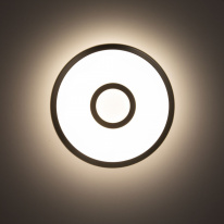 Купить с доставкой по Москве и России Накладной светильник Citilux CL703A11G