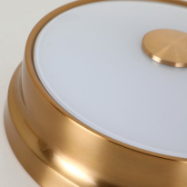 Купить с доставкой по Москве и России Накладной светильник Favourite 2375-2C