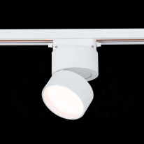 Светильник на шине ST-Luce ST651.536.09 Светильник на шине ST-Luce ST651.536.09 в интернет магазине Гет Лайт