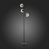 Купить Торшер Evoluce SLE154905-03