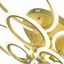 Купить с доставкой по Москве и России Накладная люстра EVOLED SLE500522-08