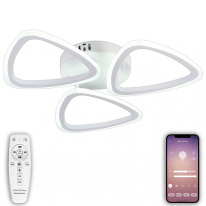 Фото Накладная люстра Natali Kovaltseva LED LAMPS 81127/3C