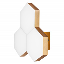 Бра Lightstar 750631 Фото Бра Lightstar 750631