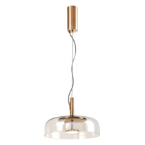 Фото Подвесной светильник Favourite 4258-1P