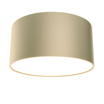 Фото Накладной светильник Maytoni Technical C032CL-12W4K-RD-MG