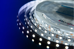 Цена на Лента DesignLed DSG560-12-W-33