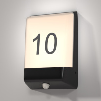 Купить с доставкой по Москве и России Светильник настенный Maytoni O448WL-L9GF3KSR