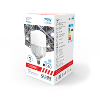 Светодиодная лампа Gauss 60438 в интернет магазине Гет Лайт