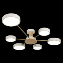 Купить с доставкой по Москве и России Накладной светильник LOFT IT 10316/6 White