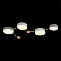 Цена на Накладной светильник Evoluce SLE600102-04