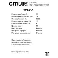 Купить  Citilux CL212163