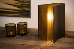 Купить с доставкой по Москве и России Детская настольная лампа LUCIDE 78596/01/30