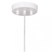 Купить Подвесной светильник Favourite 1753-1P