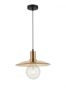 Фото Подвесной светильник Simple Story 1016-1PL