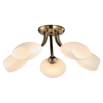 Фото Накладная люстра Lussole LSP-0189