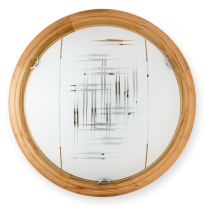 Фото Накладной светильник TOPLIGHT TL9153Y-02PN