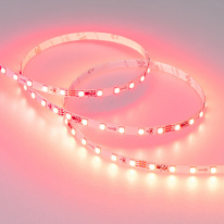 Купить с доставкой по Москве и России Лента Arlight 030195(2)