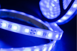 Лента SWG SWG560-12-14.4-B-68 в интернет магазине Гет Лайт