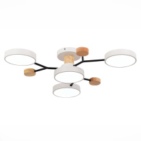 Цена на Люстра на штанге Evoluce SLE6006-502-04