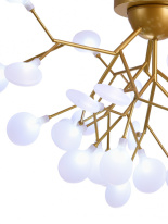 Цена на Накладная люстра Natali Kovaltseva GRACE 75126/12С GOLD SATIN