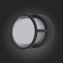 Купить Светильник настенный ST-Luce SL9504.411.01