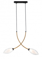 Фото Подвесная люстра Indigo V000140