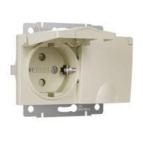 Фото Розетка Werkel W1172203