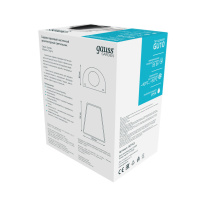 Купить с доставкой по Москве и России Светильник настенный Gauss GD163