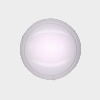 Купить Накладной светильник Citilux CL918081