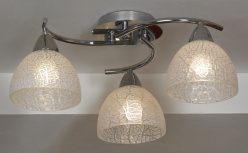 Фото Накладная люстра Lussole LSF-1603-03