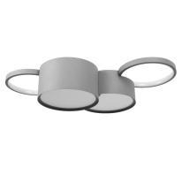 Фото Накладной светильник LOFT IT 10317/4 Grey