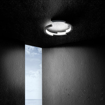 Купить с доставкой по Москве и России Накладная люстра ImperiumLoft 208327-26