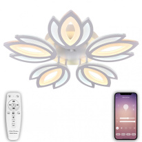 Фото Накладная люстра Natali Kovaltseva LED LAMPS 81124