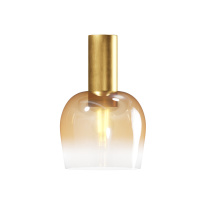 Купить с доставкой по Москве и России Накладной светильник Maytoni MOD414CL-01G