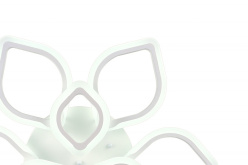 Накладная люстра Natali Kovaltseva LED LAMPS 81237 в интернет магазине Гет Лайт