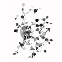 Фото Lightstar 721634