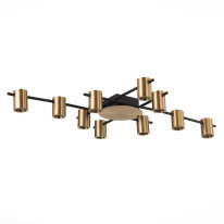 Фото Накладная люстра ST-Luce SL1207.402.10