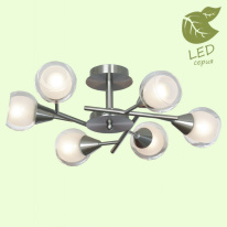 Фото Люстра на штанге Lussole GRLSP-0141